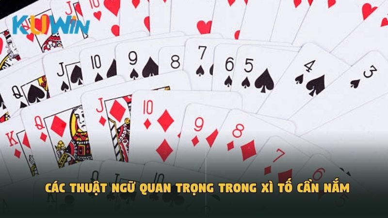 Các thuật ngữ quan trọng trong Xì Tố cần nắm